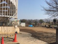 スタディピア 桑の実本郷保育園 所沢市松郷