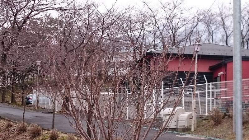 スタディピア 昭英高校 敦賀市