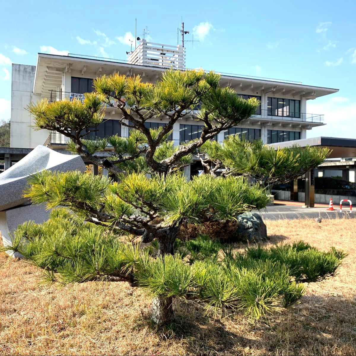 マーケットピア 谷美鳥園 近江八幡店 近江八幡市 周辺施設 口コミ 写真 動画