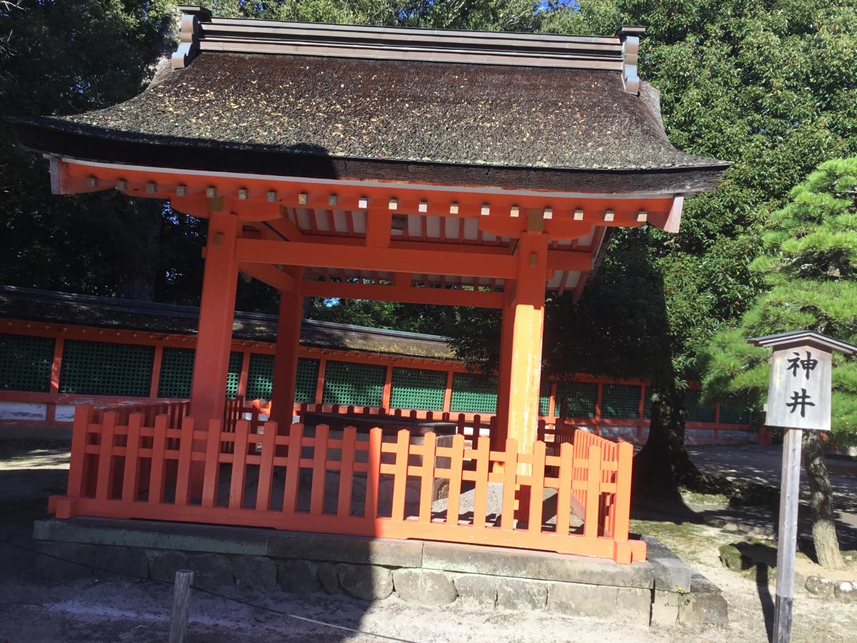 旅探 たびたん 宇佐神宮