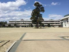 スタディピア 亘理郡亘理町の学校 塾 幼稚園 専門学校 自動車学校一覧