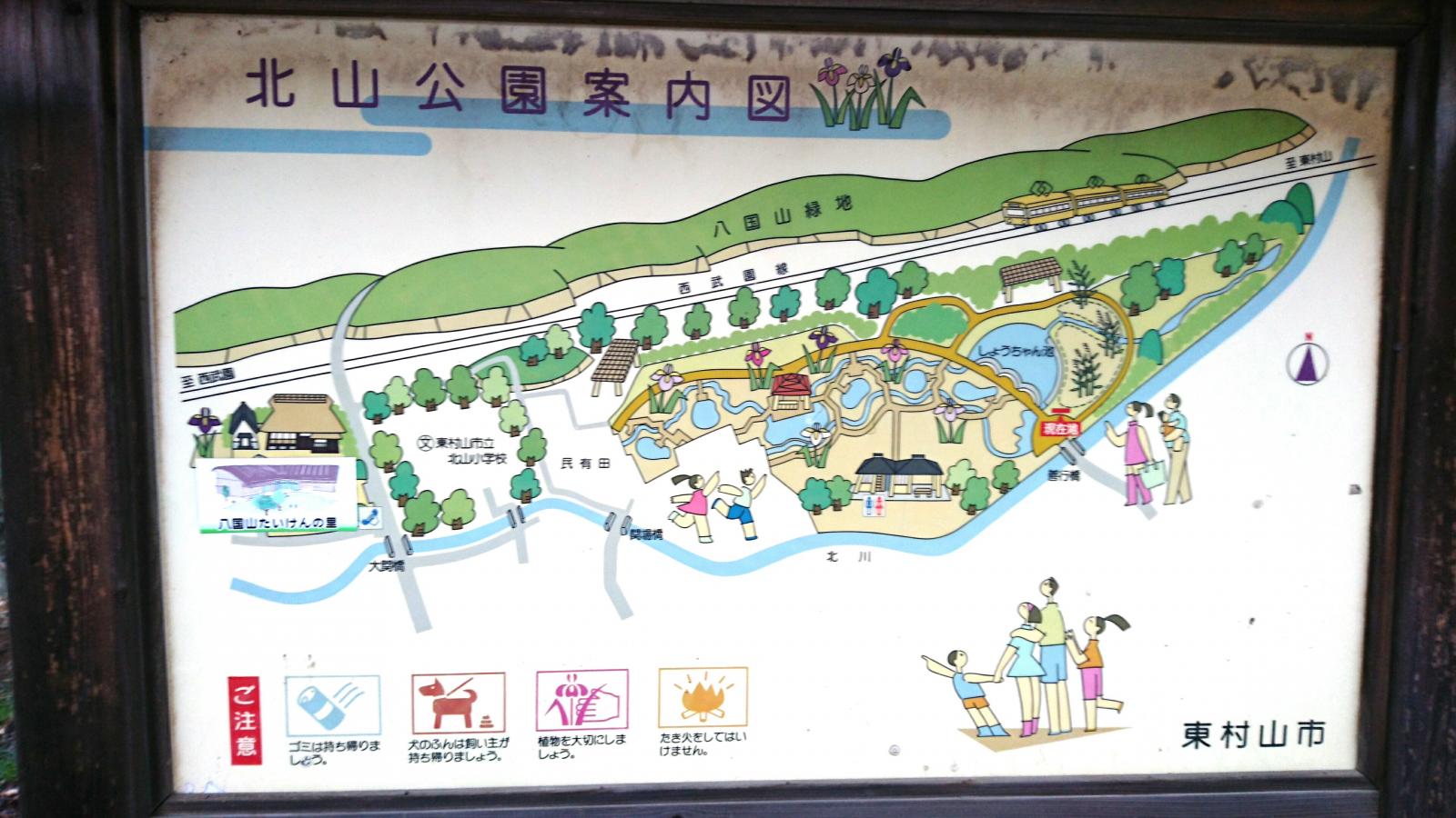 パブリネット 北山公園 東村山市 の投稿写真一覧