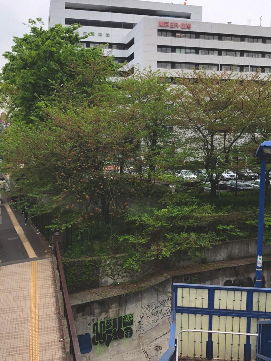 ドクターマップ 東京都立広尾病院 渋谷区恵比寿