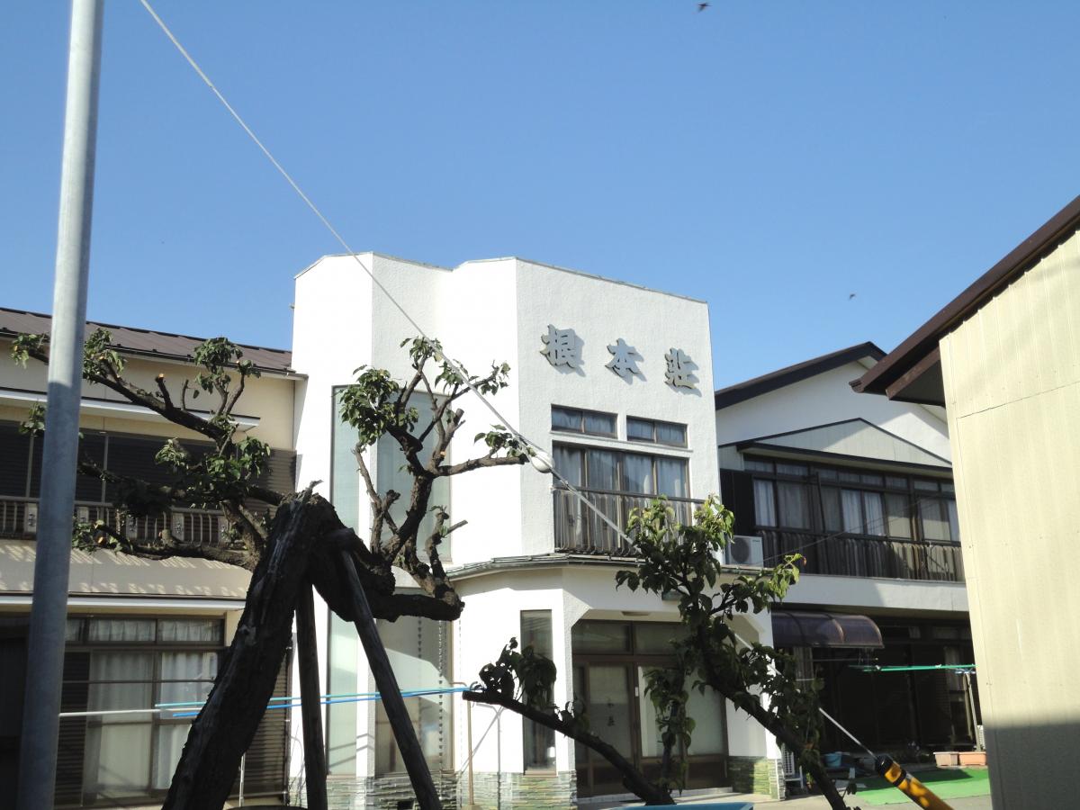 ホテバンク 民宿根本荘 三浦市南下浦町上宮田