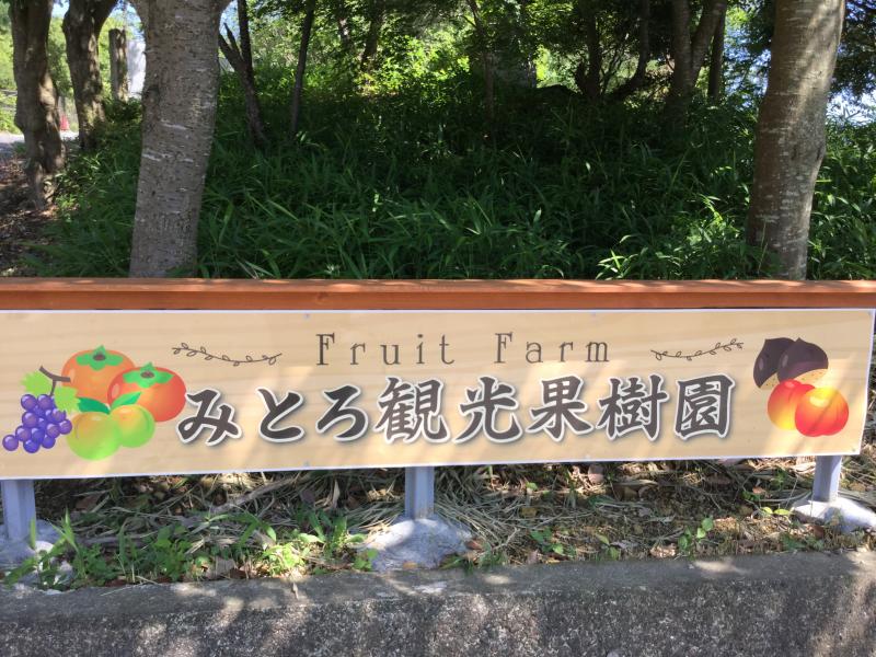 旅探 たびたん みとろ観光果樹園 加古川市 の投稿写真一覧