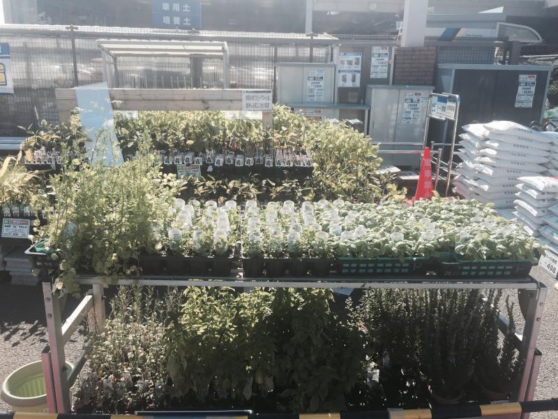 マーケットピア ケーヨーデイツー あきる野店 あきる野市下代継