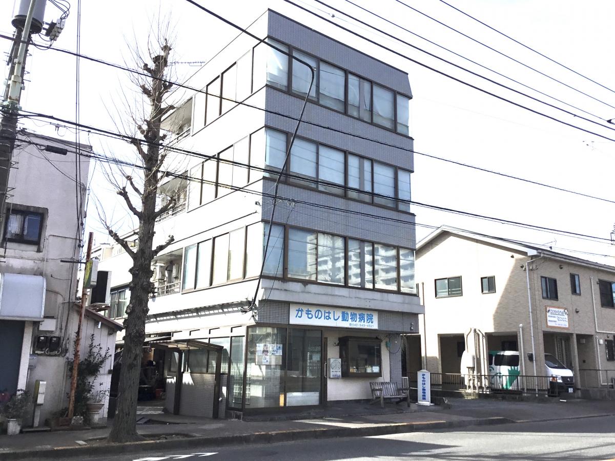 ドッグメディカル かものはし動物病院 昭島市玉川町
