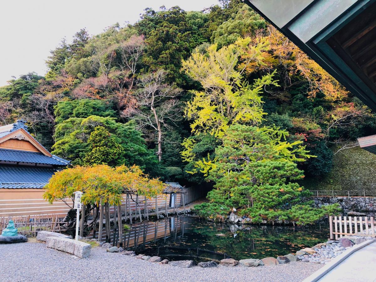 旅探/たびたん】出雲大社のコメント一覧(1ページ)