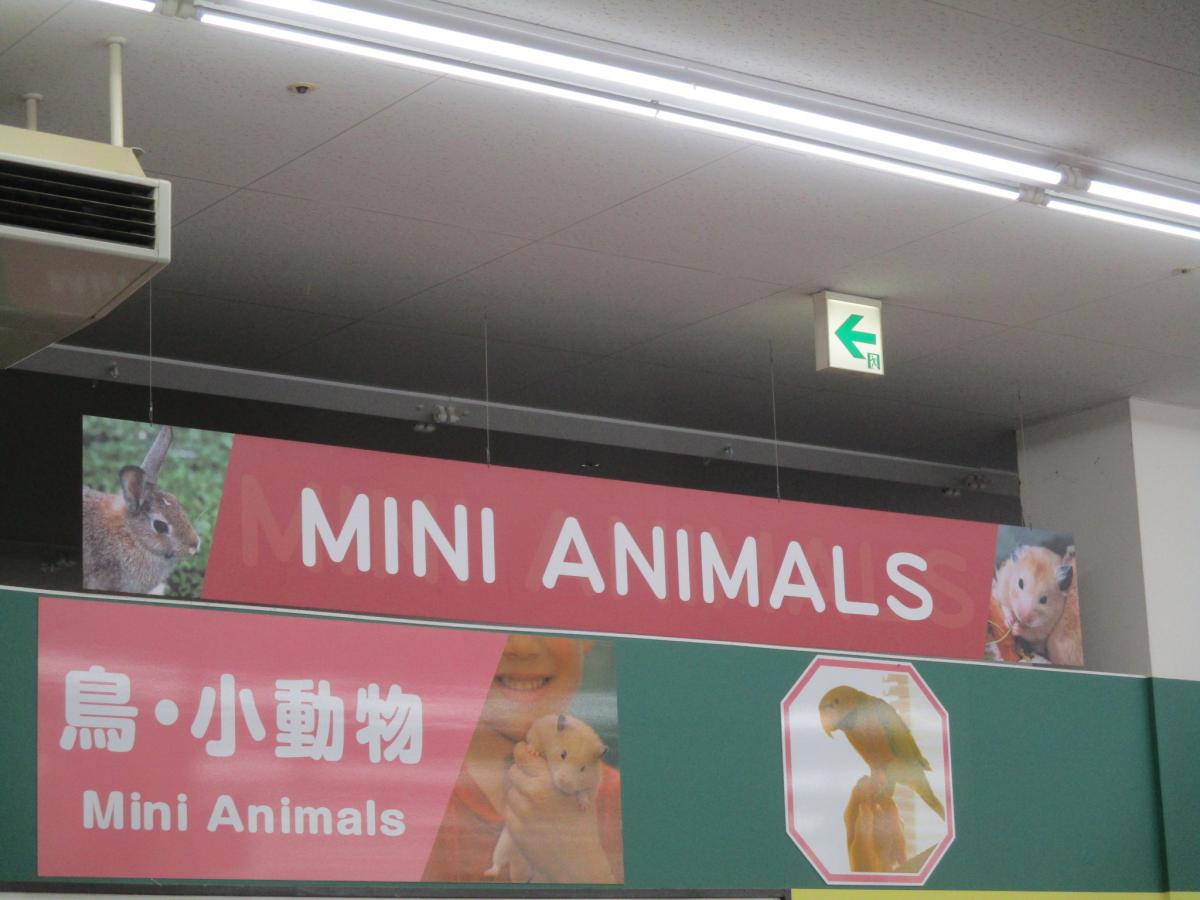マーケットピア ローソン 小牧元町三丁目店 小牧市 周辺施設 口コミ 写真 動画