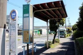 スポランド 舎人公園陸上競技場 足立区 の周辺施設写真一覧 1ページ