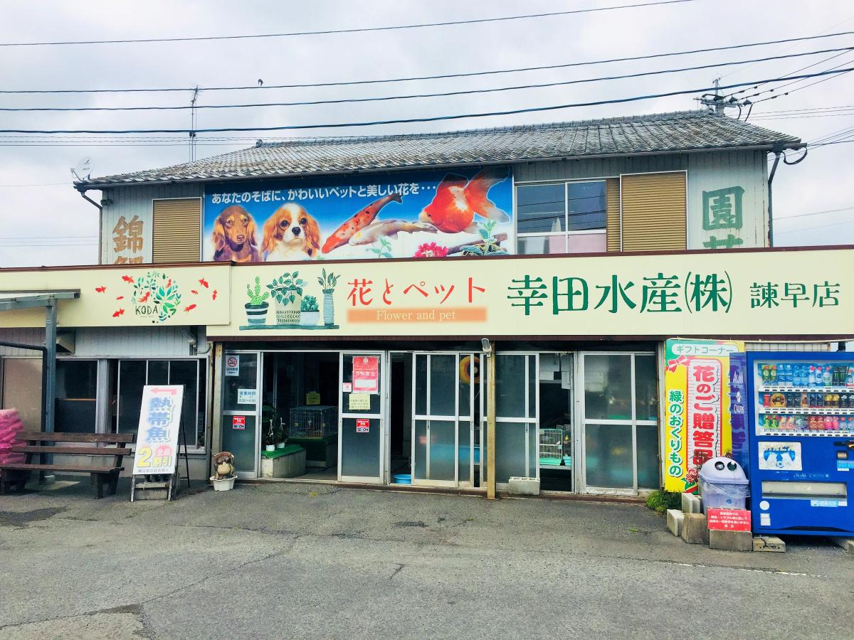 マーケットピア 幸田水産 諫早市小野島町