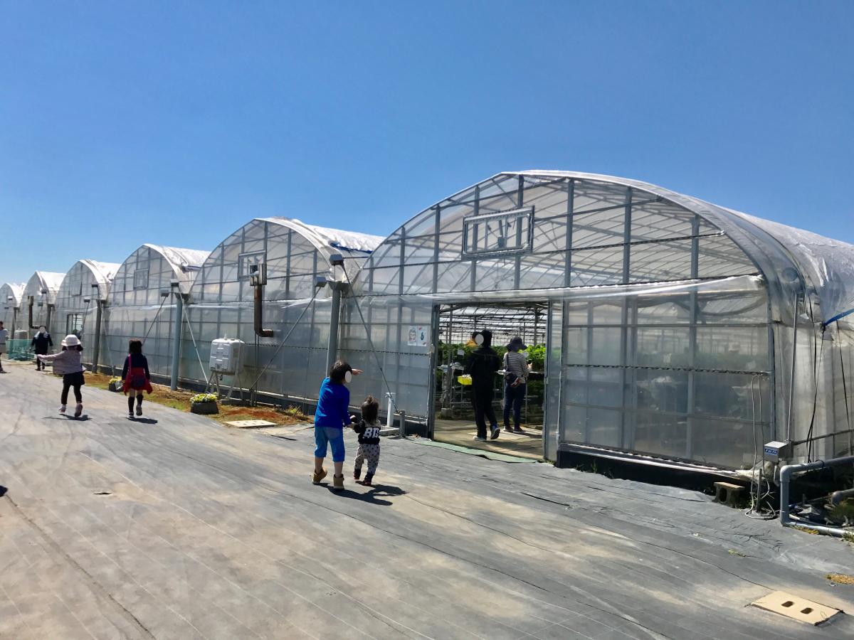 旅探 たびたん らいおん果実園