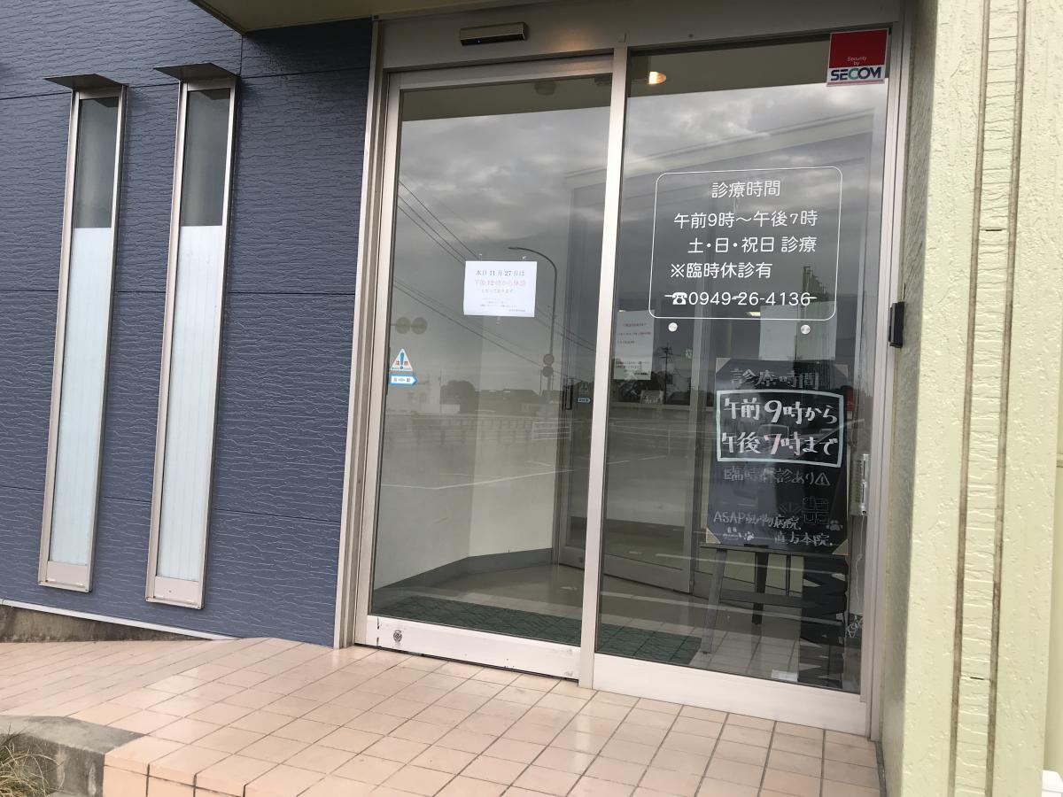 ドッグメディカル asap動物病院 ドッグメディカル asap動物病院