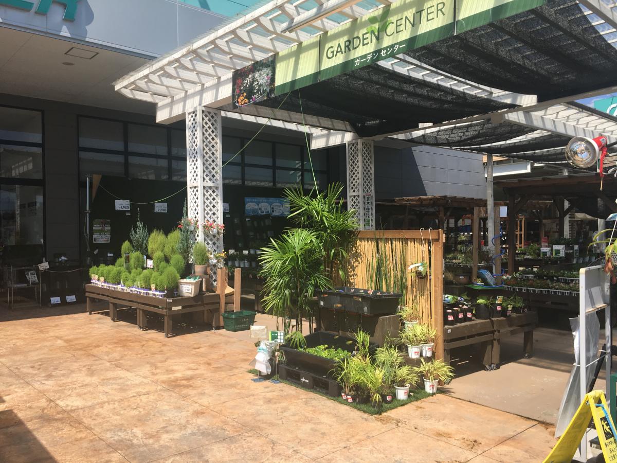 マーケットピア カインズ 半田店