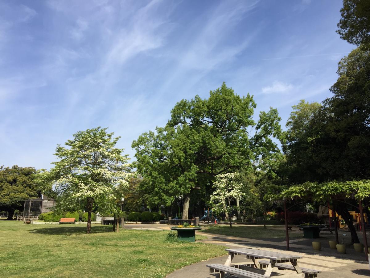 パブリネット 写真 群馬県立公園群馬の森