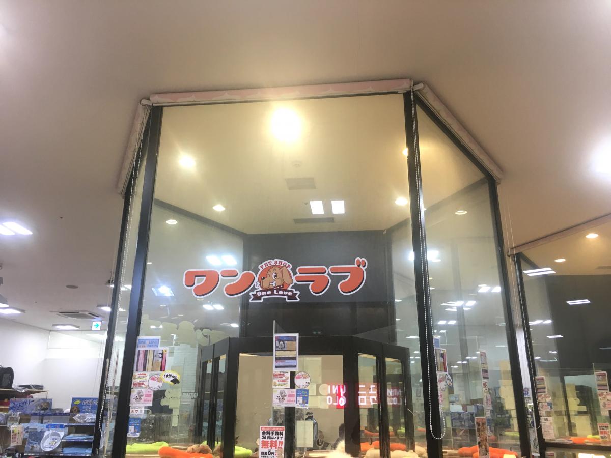 マーケットピア スーパースポーツゼビオ アリオ鷲宮店 久喜市 周辺施設 口コミ 写真 動画