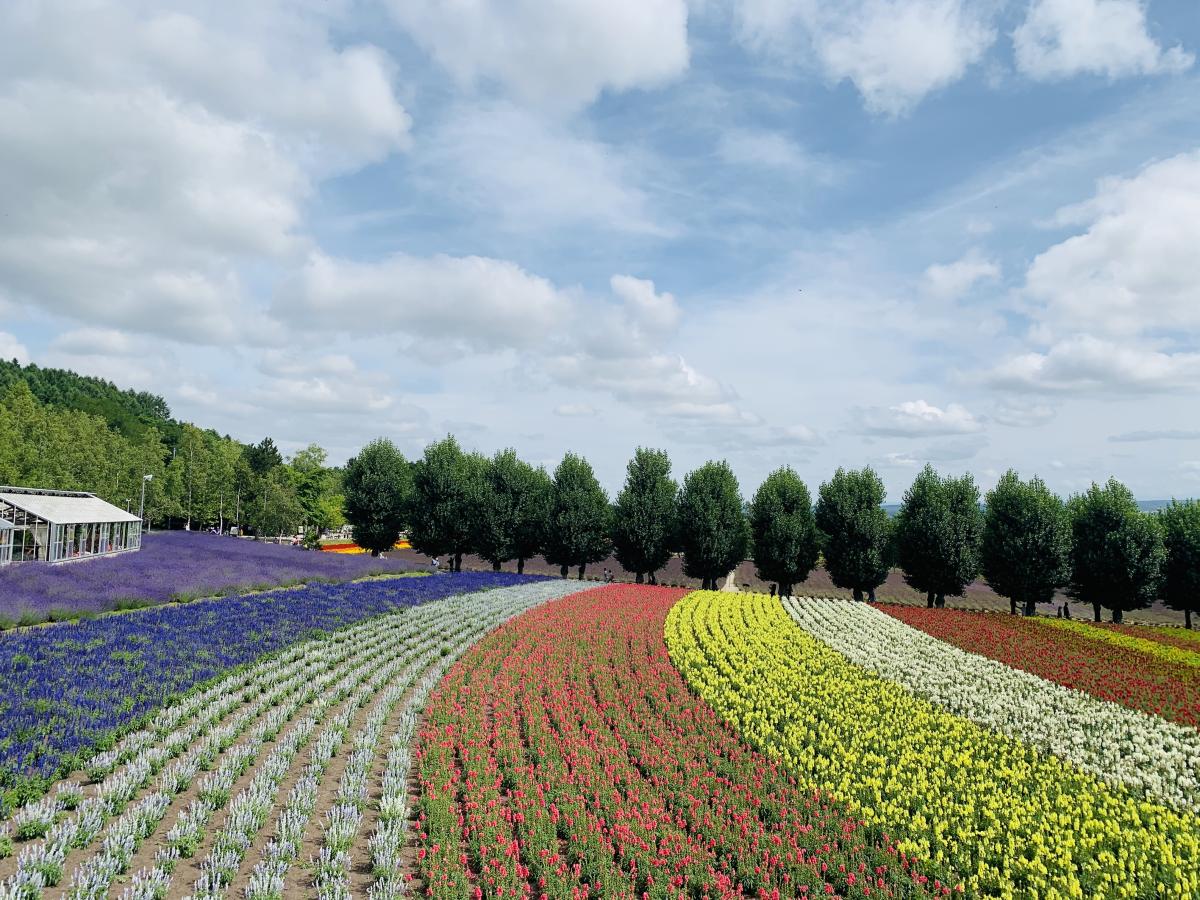 旅探 たびたん ファーム富田のコメント一覧 1ページ