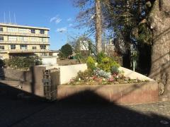 スタディピア 小田原市の学校 塾 幼稚園 専門学校 自動車学校