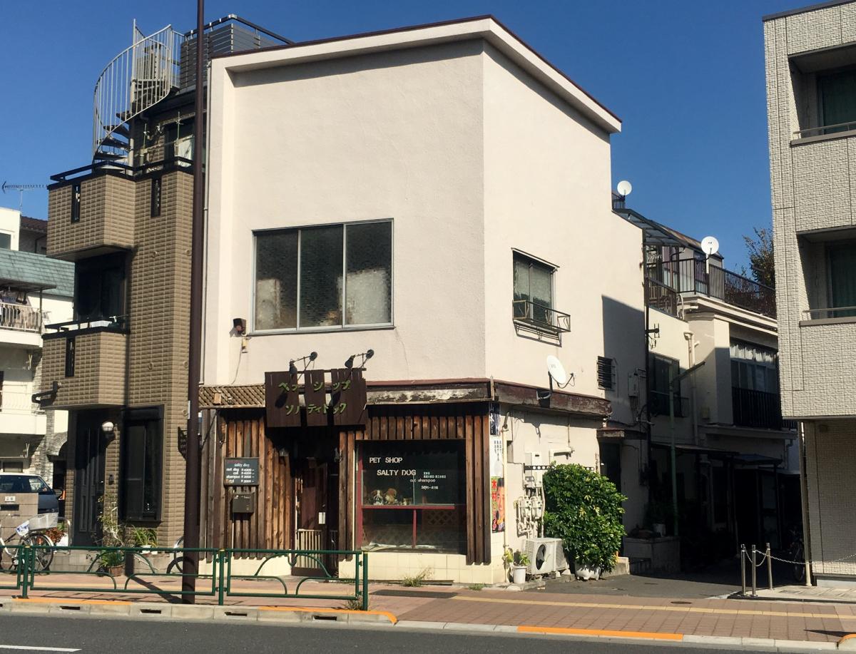 マーケットピア ペットショップソルティドッグ 荒川区荒川
