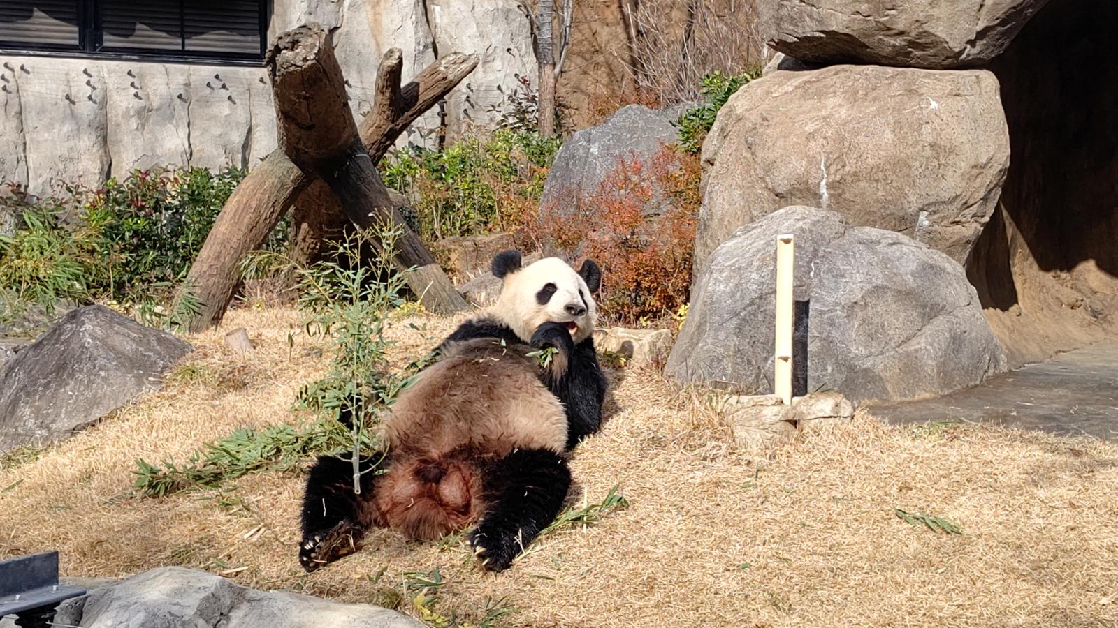 旅探 たびたん 上野動物園