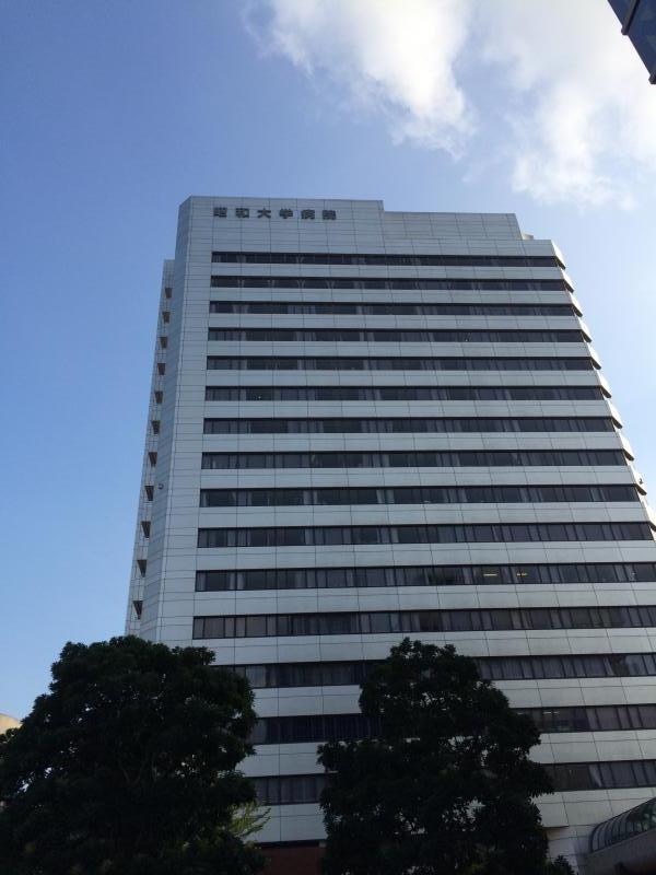 ドクターマップ 昭和大学病院 品川区旗の台