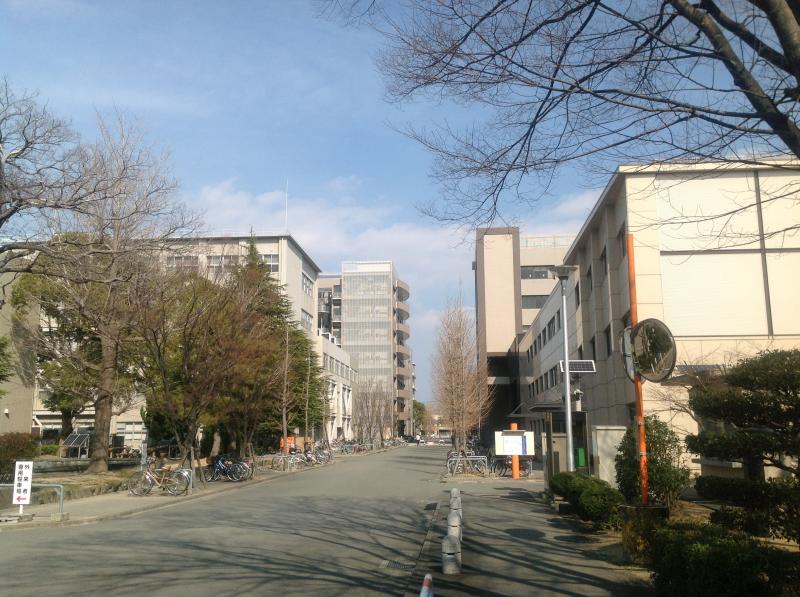 ホームズ サーパス徳島中央公園南の建物情報 徳島県徳島市中洲町1丁目59