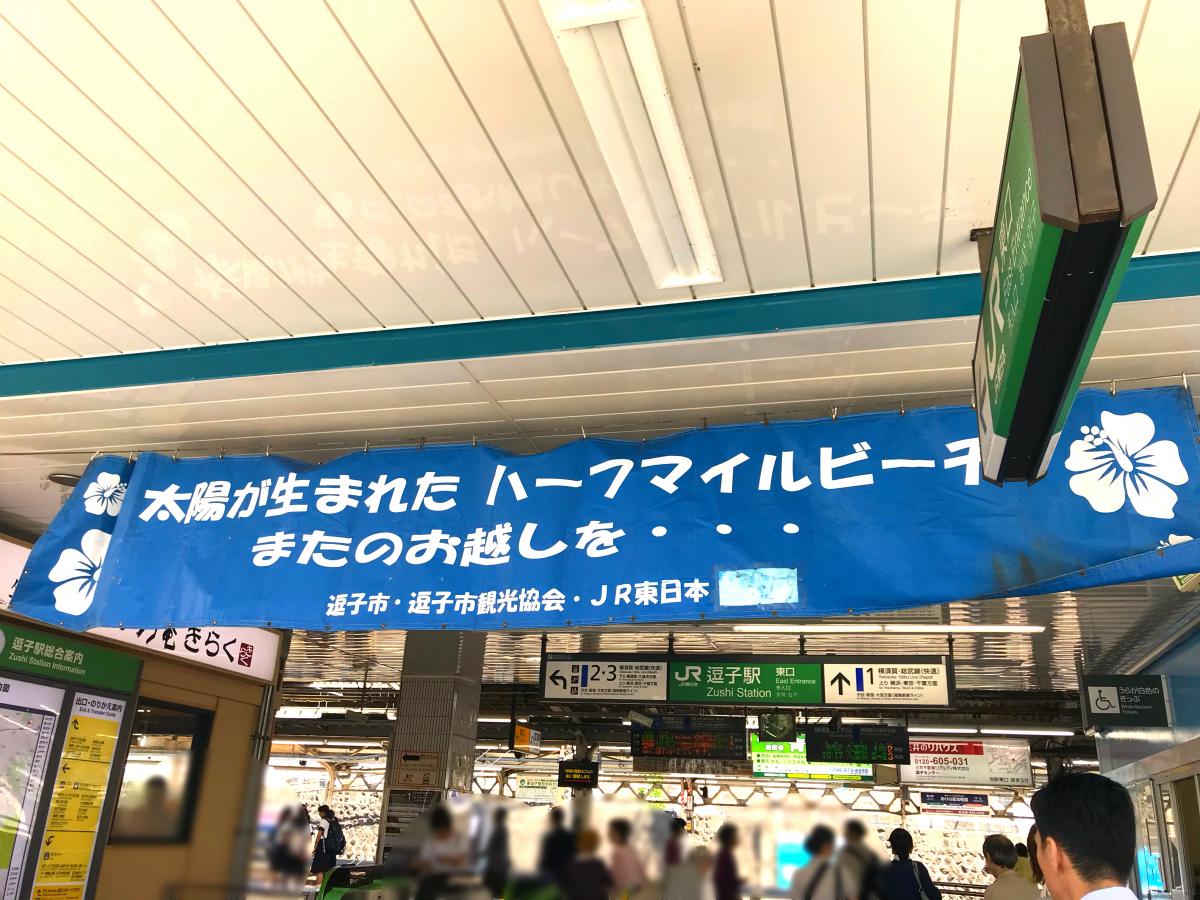 ユキサキナビ 逗子駅 逗子市 の投稿写真一覧