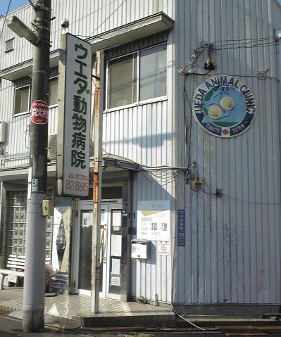 ドッグメディカル ウエダ動物病院 門真市千石東町