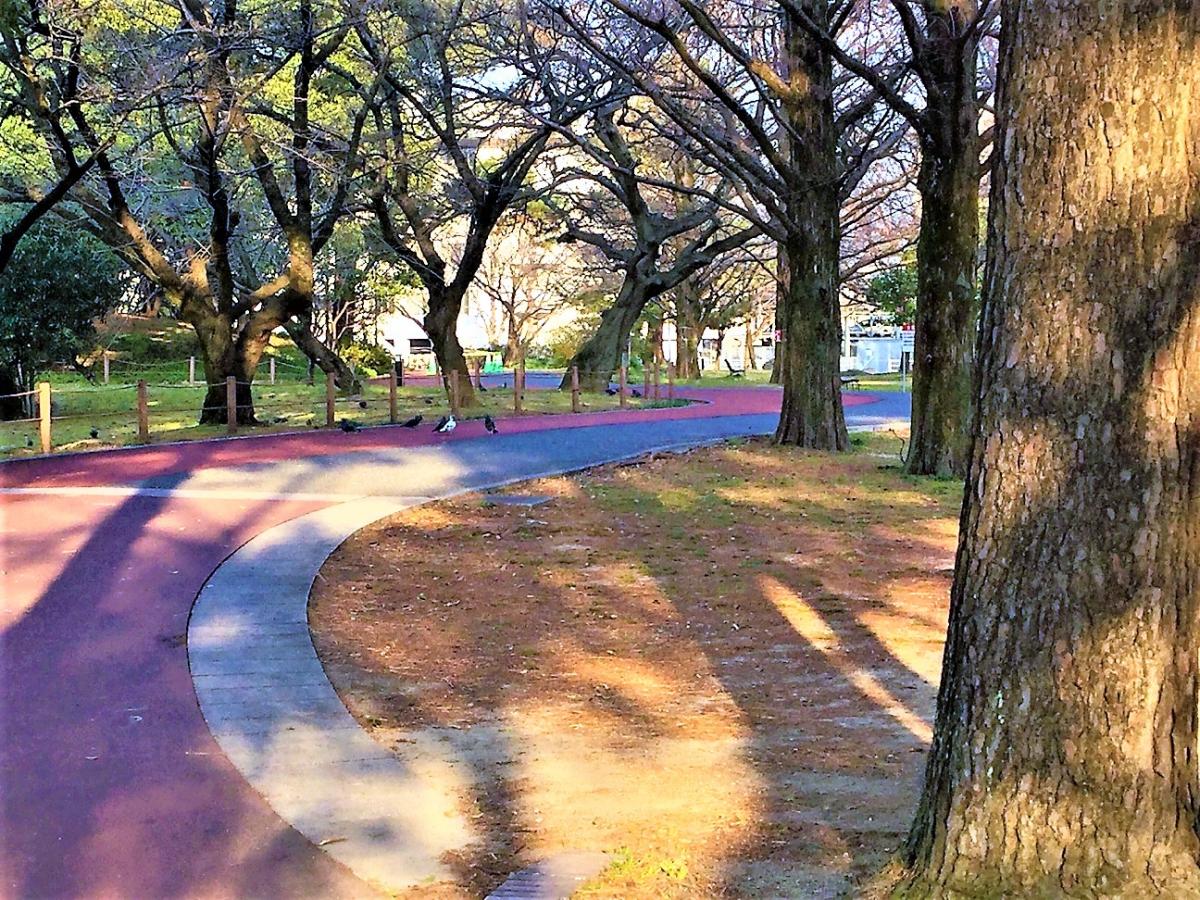 パブリネット 山王公園 福岡市博多区
