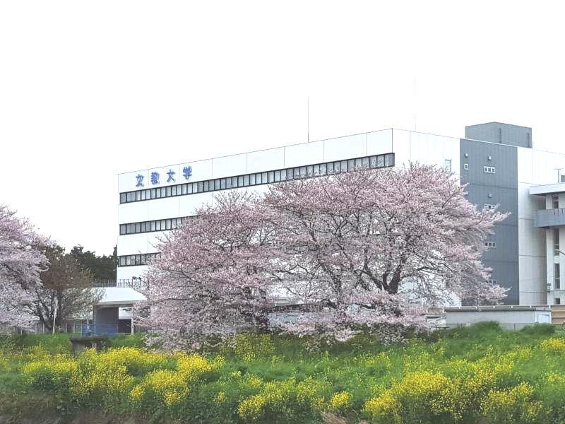 スタディピア 文教大学越谷キャンパス 越谷市