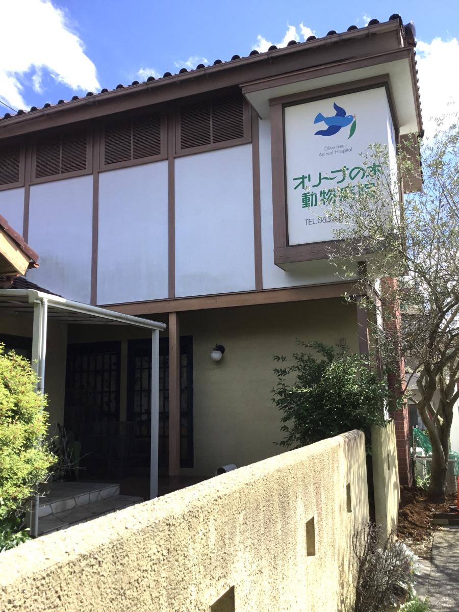 ドッグメディカル オリーブの木動物病院