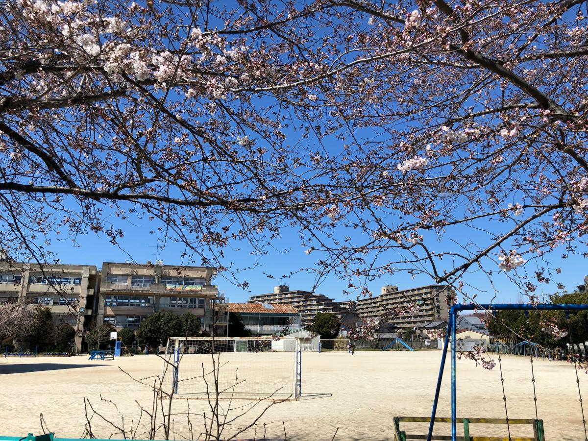 【スタディピア】柿ノ木台小学校：写真／ホームメイト