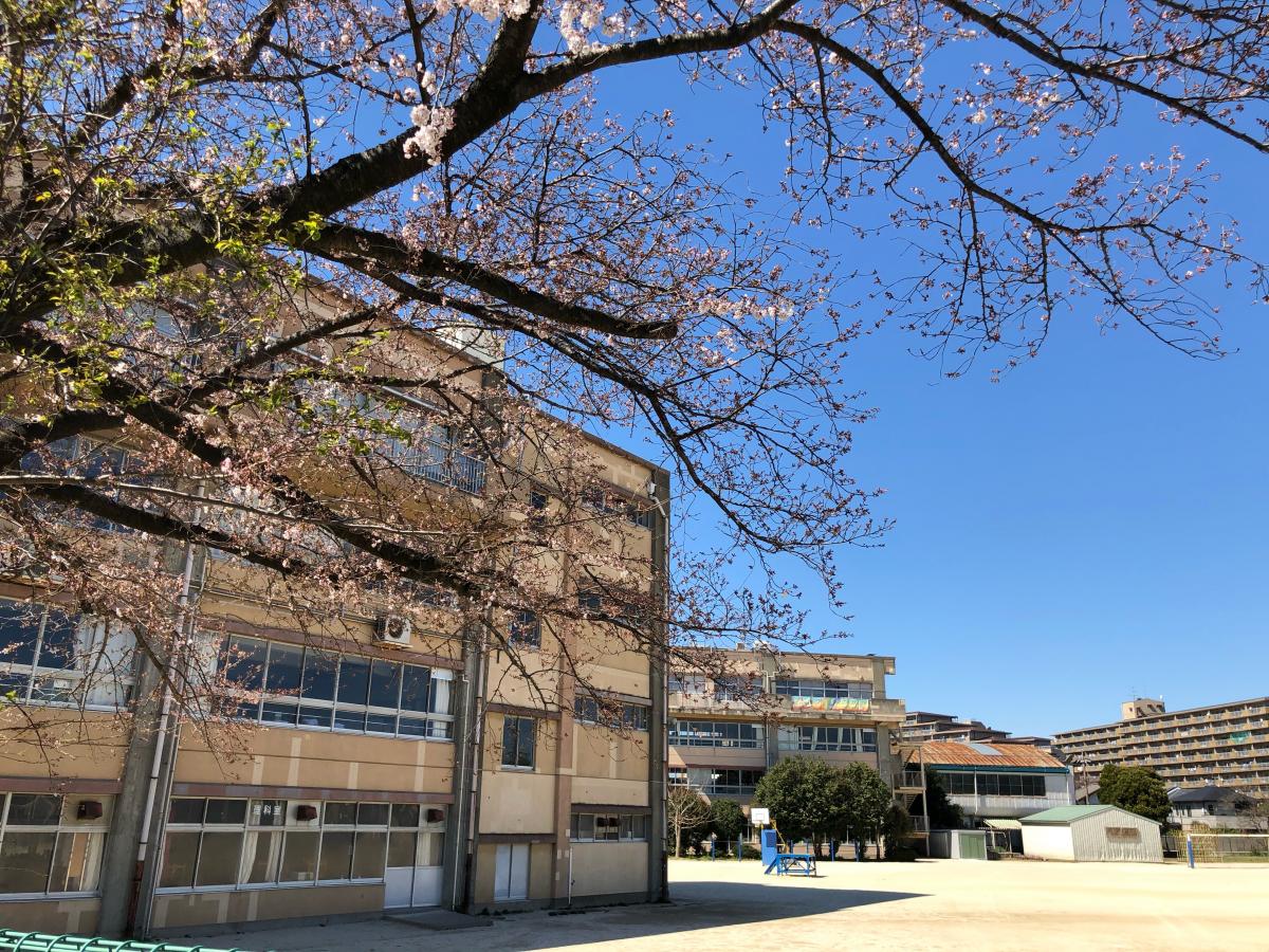 【スタディピア】柿ノ木台小学校：写真／ホームメイト