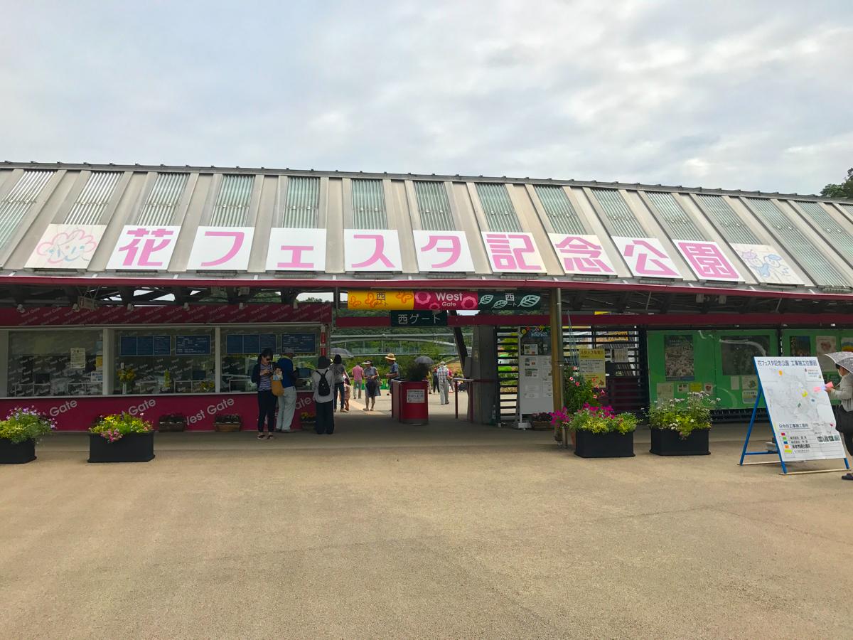 花フェスタ記念公園