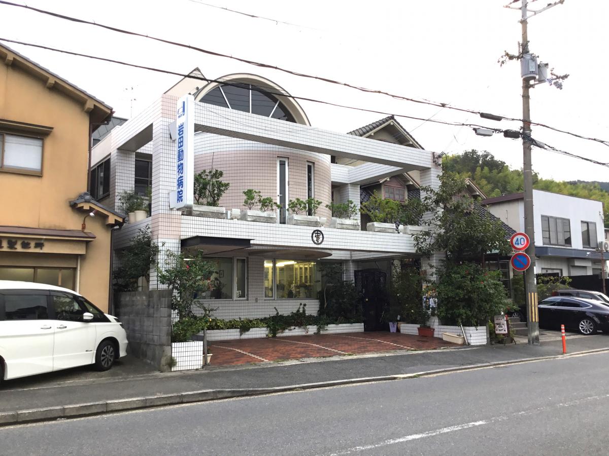 かもがわ動物クリニック 京都市北区鞍馬口駅 犬 猫 動物病院 うさぎ ハムスター フェレット モルモット リス 動物病院 口コミ 評判 Epark