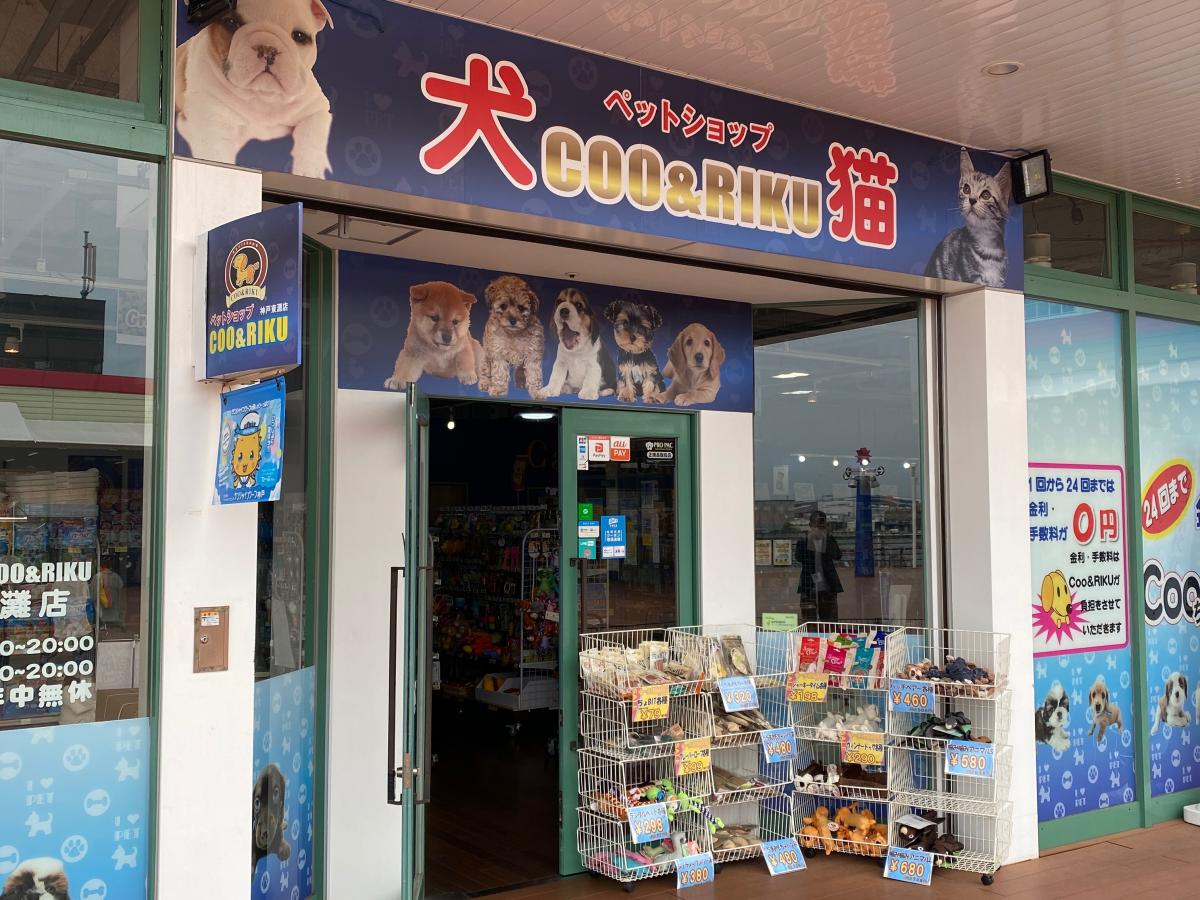 マーケットピア ペットショップｃｏｏ ｒｉｋｕ 神戸東灘店 神戸市東灘区青木