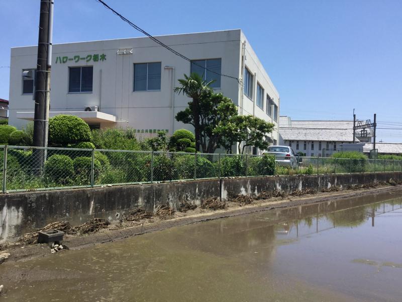 マーケットピア スズキアリーナ栃木南 栃木市 周辺施設 口コミ 写真 動画