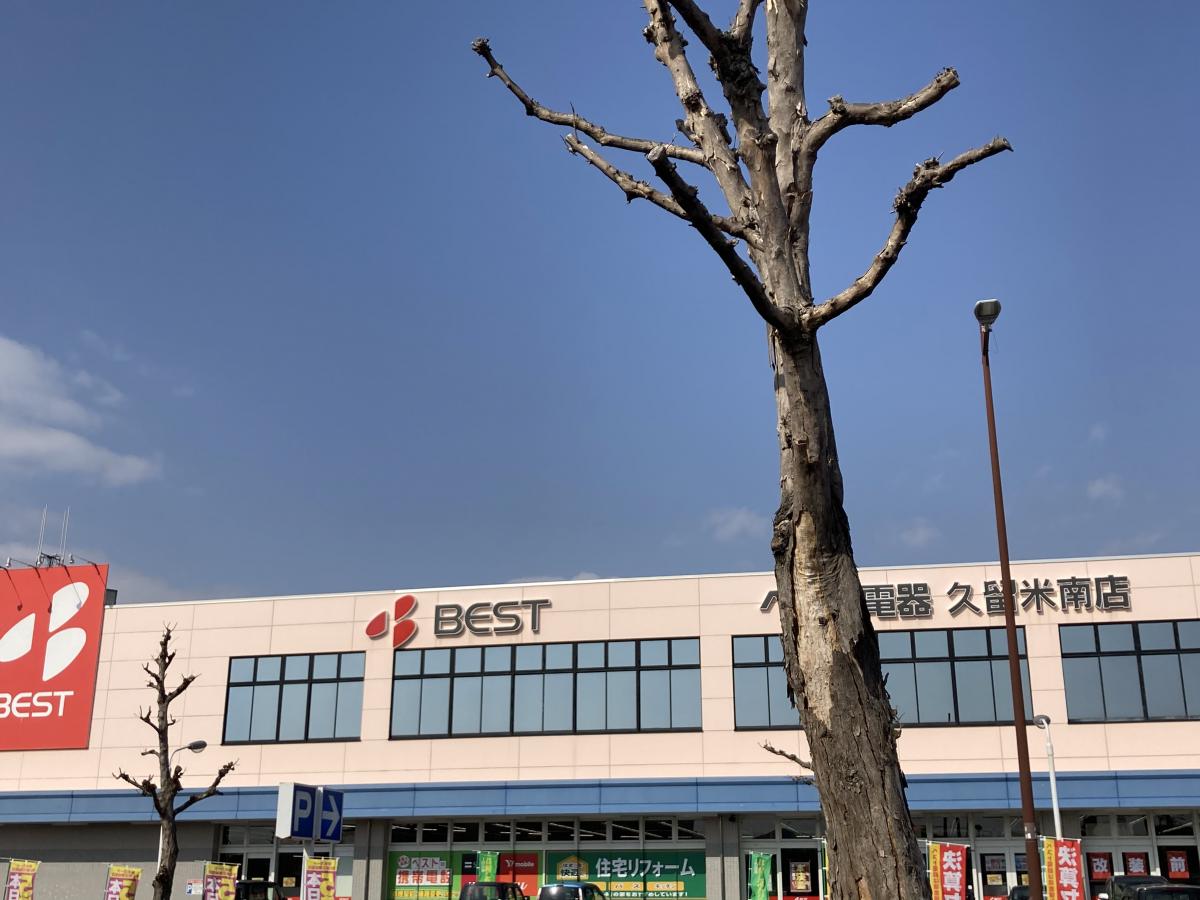 マーケットピア ベスト電器 久留米南店 久留米市本山