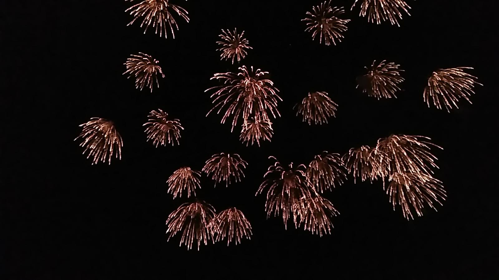 旅探 たびたん 有明海花火フェスタ