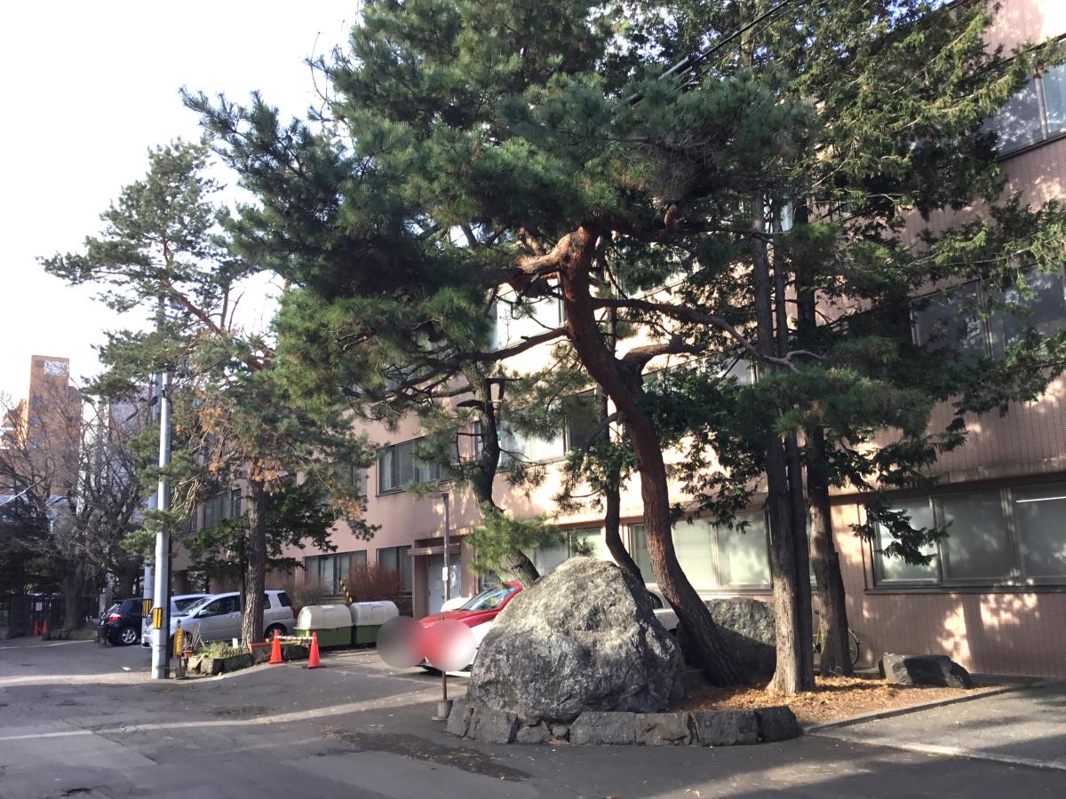 ドクターマップ 田代内科呼吸器科クリニック 札幌市中央区 周辺施設 口コミ 写真 動画