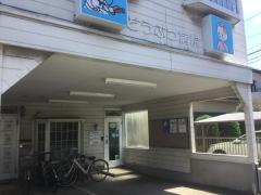 スタディピア ちば愛犬動物学園 千葉市中央区新宿