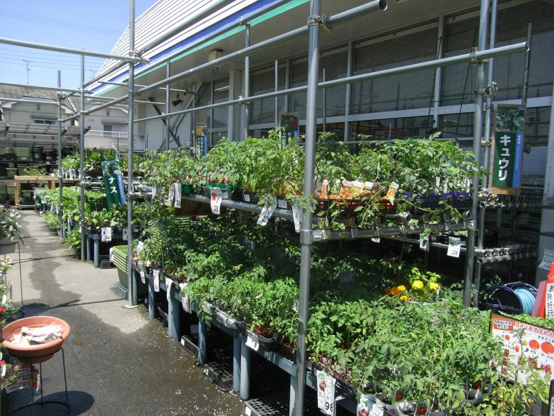 マーケットピア コメリハード グリーン 天理店 天理市 の投稿写真一覧