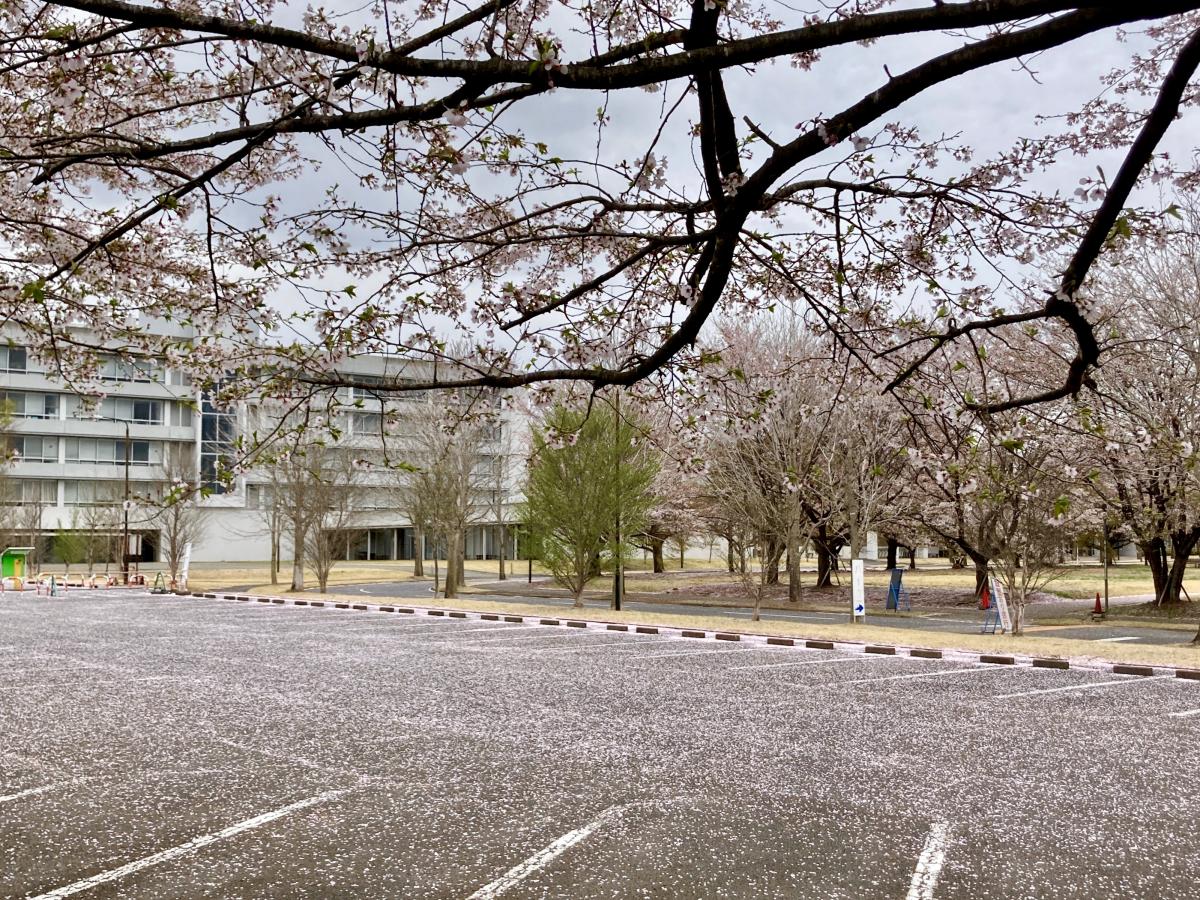 国際医療福祉大学大学院 大田原キャンパス／ホームメイト
