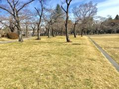 パブリネット 中央公園 飯能市