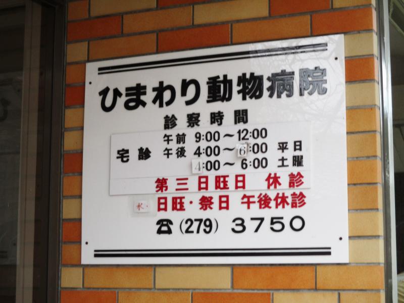 動物 病院 ひまわり