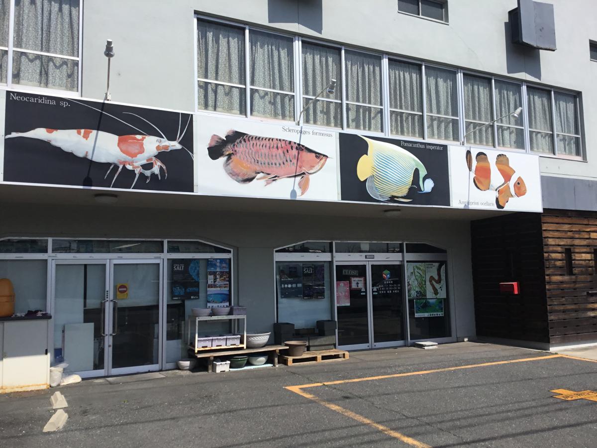 マーケットピア アクアリウムプロショップａｐｎ名古屋店