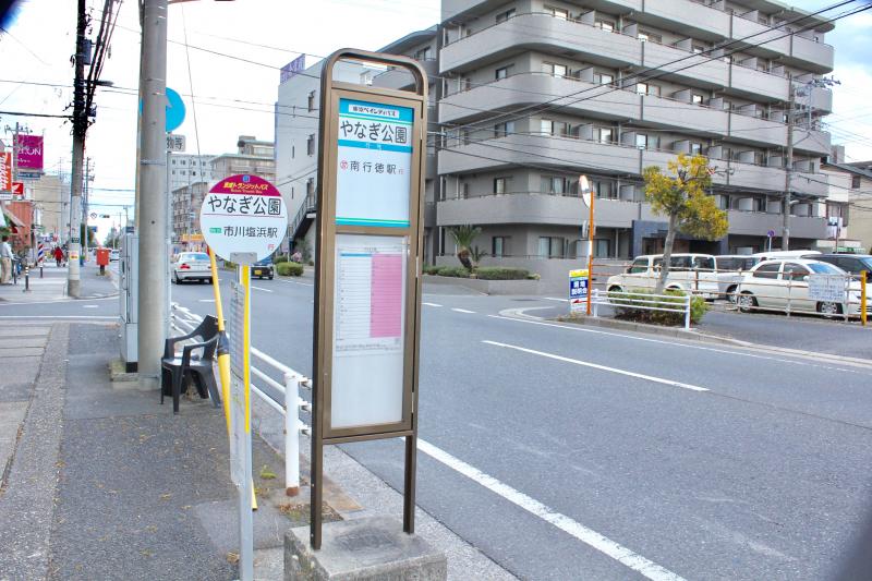 マーケットピア ファミリーマート 南行徳四丁目店 市川市 周辺施設 口コミ 写真 動画