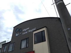 マーケットピア コメリパワー河渡店ペットパーク 新潟市東区河渡庚