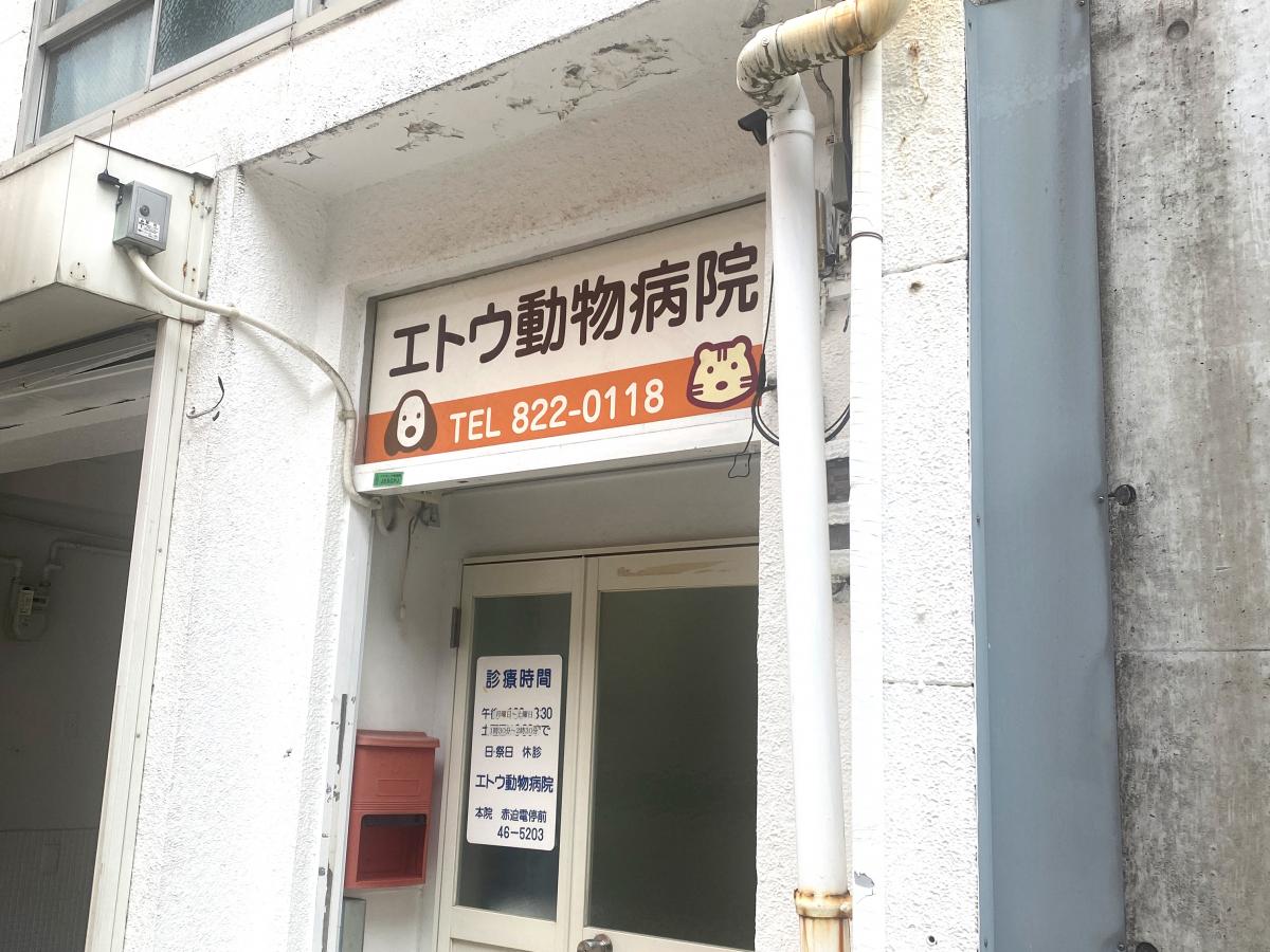 ドッグメディカル エトウ動物病院江戸町分院 長崎市江戸町
