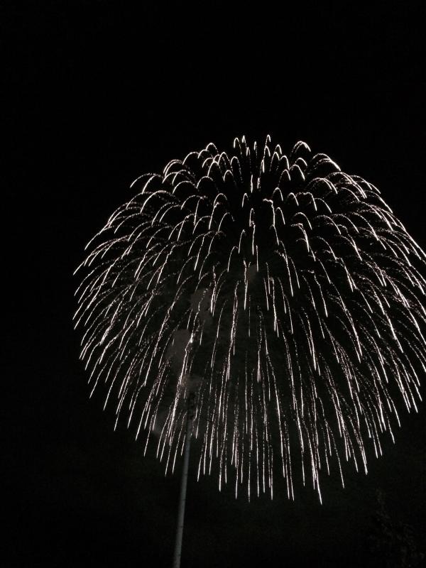 旅探 たびたん 水郷大江夏まつり灯ろう流し花火大会 西村山郡大江町